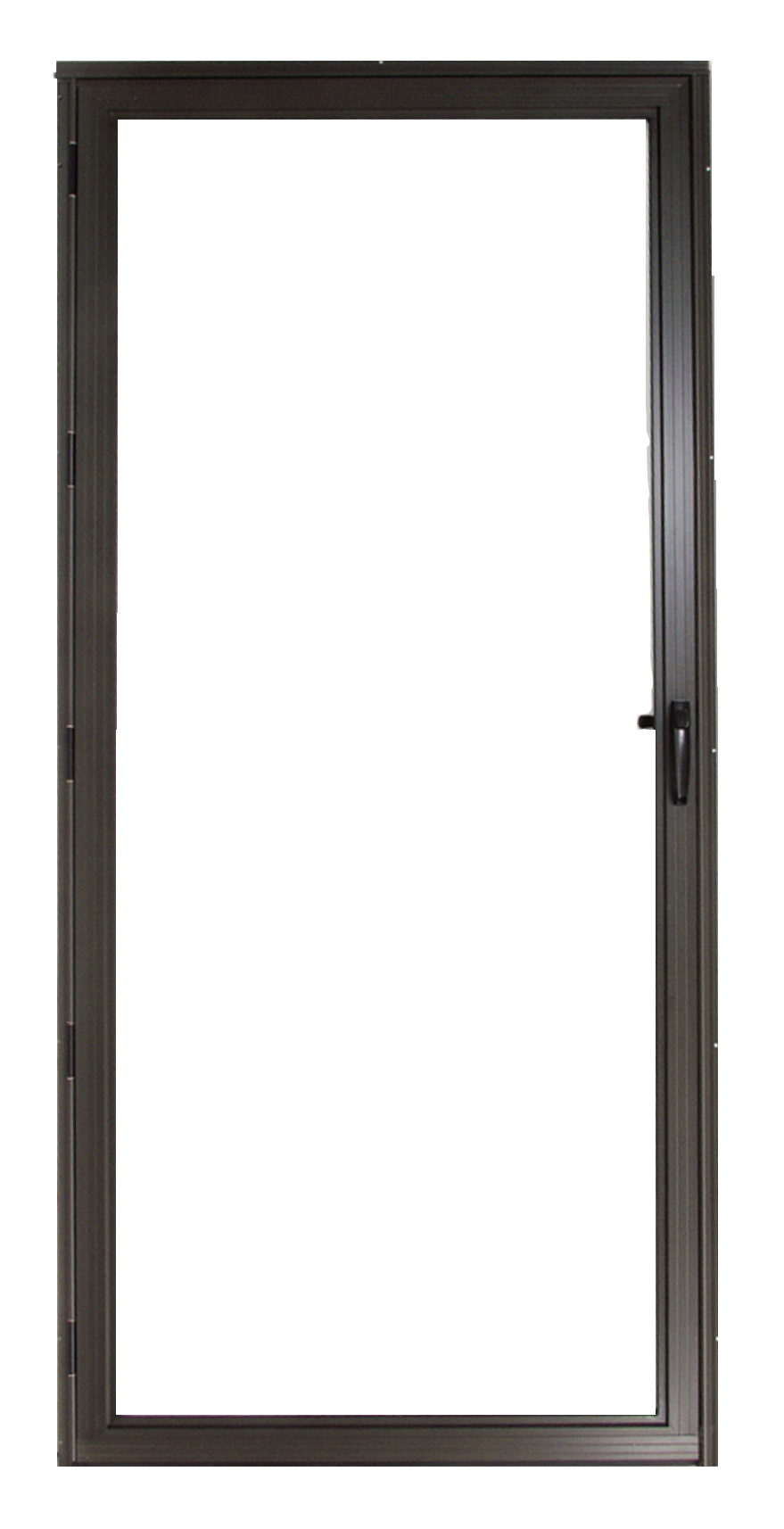 Series 2600 Classic Screen Door with Platinum Hardware