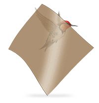 Hummingbird beside a bronze Flexi-Glaze panel