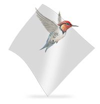 Hummingbird beside a clear Flexi-Glaze panel, showing bird visibility