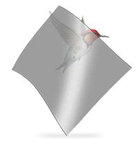 Hummingbird beside a dark grey Flexi-Glaze panel