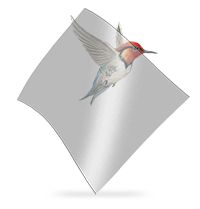 Hummingbird beside a light grey Flexi-Glaze panel
