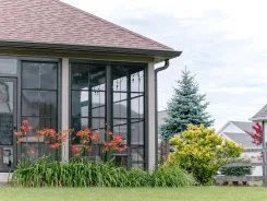 Sunroom with dark framed windows and a tiled roof beside a flower border