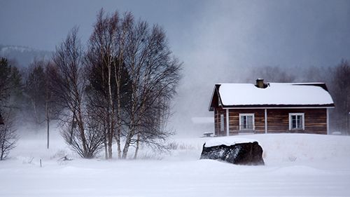 Snow-covered cabin and bare trees in a winter landscape