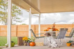 Patio cover over an autumn-decorated patio with a dog among pumpkins