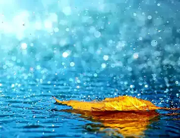 Raindrops falling on water with a floating autumn leaf