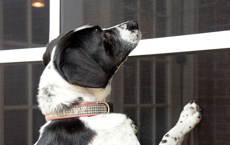 Fifteen Screen Styles